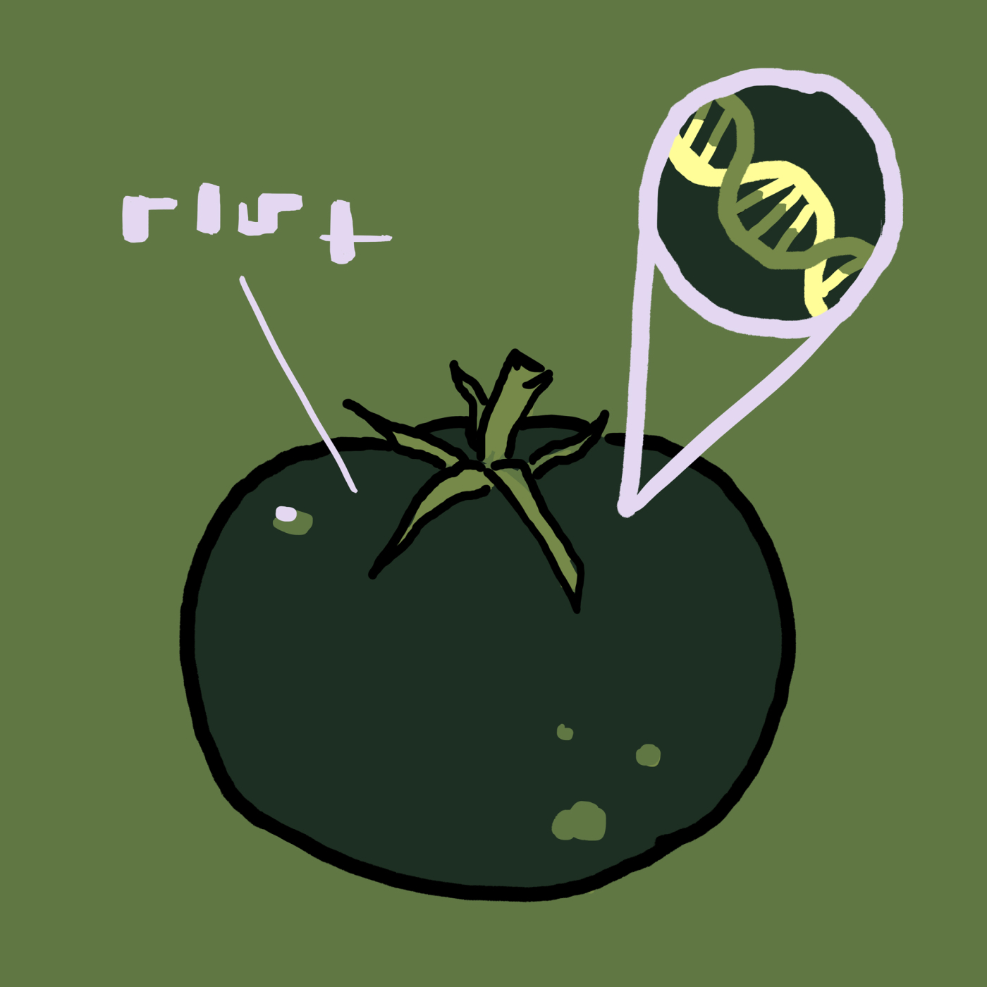 Illustration by Dorottya Faa :: Tomatoes Have More Genes Than Humans